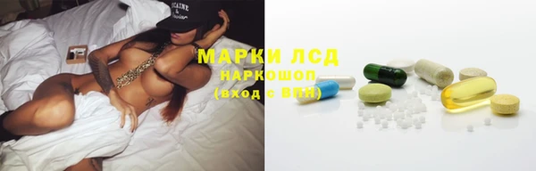 твердый Аркадак
