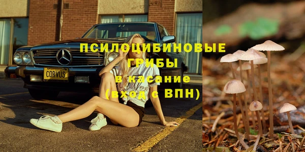 мдпв Армянск