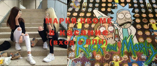твердый Аркадак