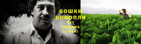 бутират Арсеньев