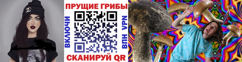где продают   Семёнов  blacksprut онион  Псилоцибиновые грибы Magic Shrooms 
